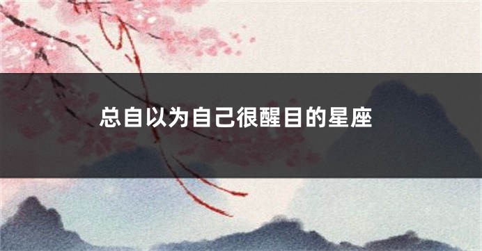 总自以为自己很醒目的星座
