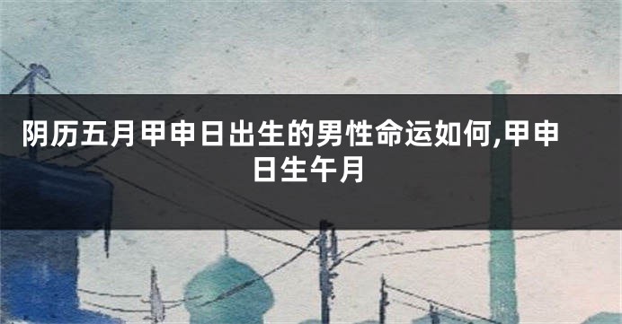 阴历五月甲申日出生的男性命运如何,甲申日生午月