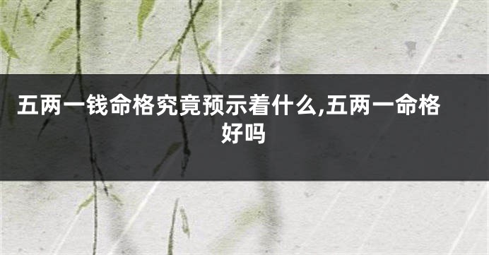 五两一钱命格究竟预示着什么,五两一命格好吗