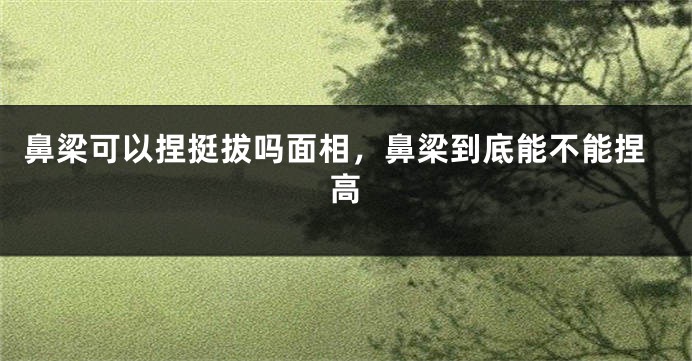 鼻梁可以捏挺拔吗面相，鼻梁到底能不能捏高