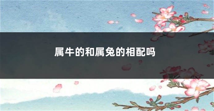 属牛的和属兔的相配吗