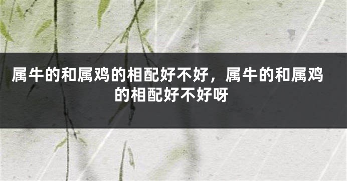 属牛的和属鸡的相配好不好，属牛的和属鸡的相配好不好呀