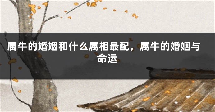 属牛的婚姻和什么属相最配，属牛的婚姻与命运