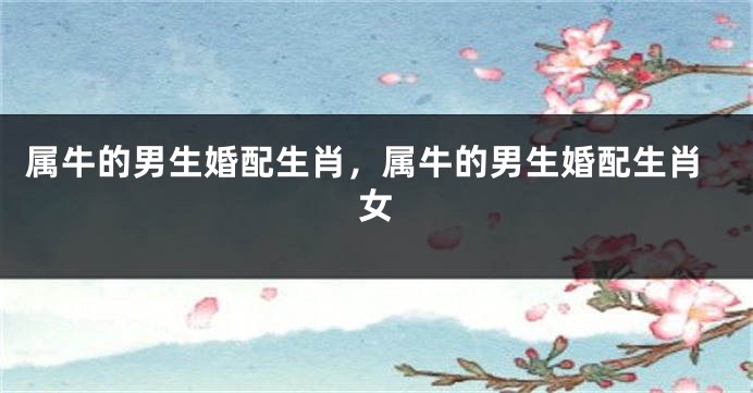 属牛的男生婚配生肖，属牛的男生婚配生肖女