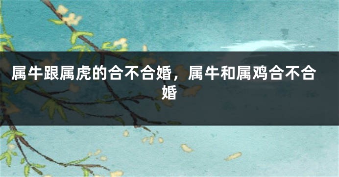 属牛跟属虎的合不合婚，属牛和属鸡合不合婚