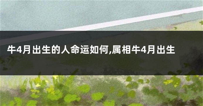 牛4月出生的人命运如何,属相牛4月出生