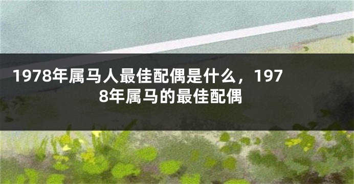 1978年属马人最佳配偶是什么,1978年属马的最佳配偶