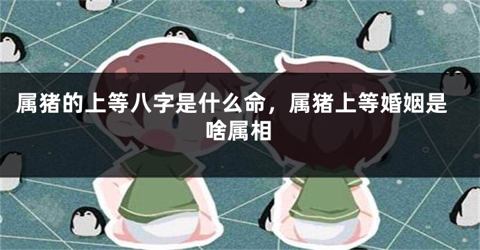 属猪的上等八字是什么命，属猪上等婚姻是啥属相