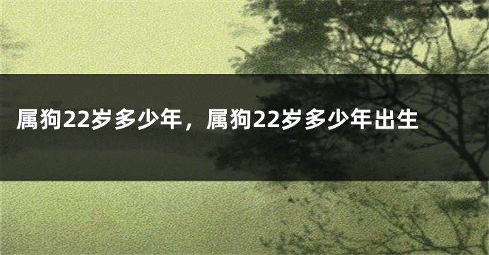 属狗22岁多少年,属狗22岁多少年出生