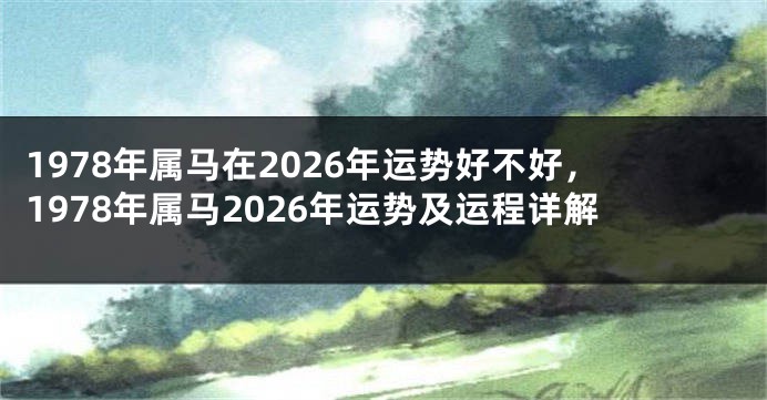 1978年属马在2026年运势好不好，1978年属马2026年运势及运程详解
