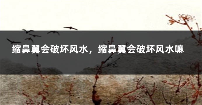缩鼻翼会破坏风水，缩鼻翼会破坏风水嘛