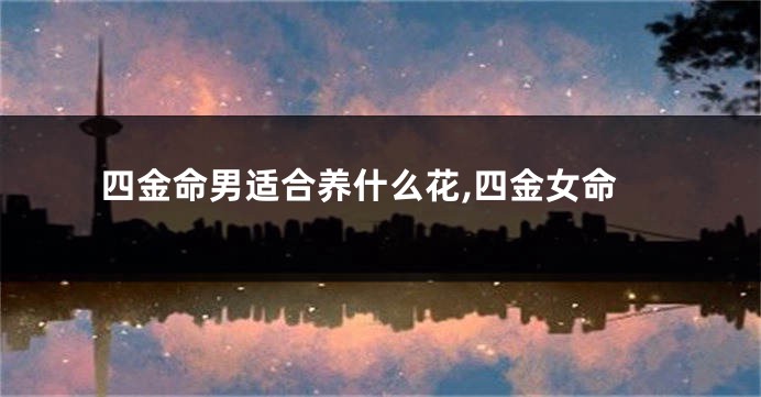 四金命男适合养什么花,四金女命
