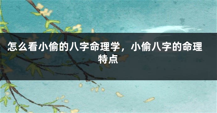 怎么看小偷的八字命理学，小偷八字的命理特点