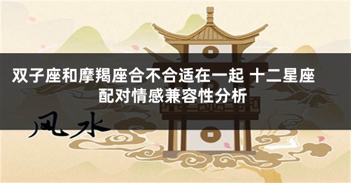 双子座和摩羯座合不合适在一起 十二星座配对情感兼容性分析