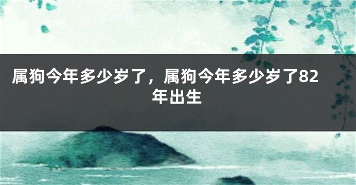 属狗今年多少岁了，属狗今年多少岁了82年出生