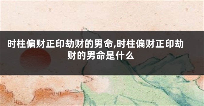 时柱偏财正印劫财的男命,时柱偏财正印劫财的男命是什么