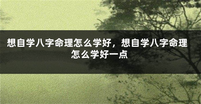 想自学八字命理怎么学好，想自学八字命理怎么学好一点