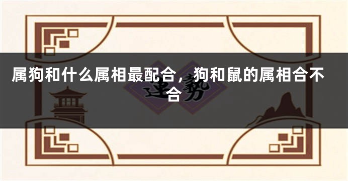 属狗和什么属相最配合，狗和鼠的属相合不合