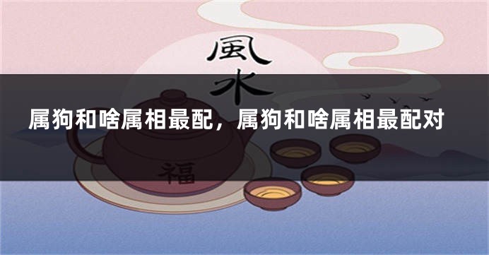 属狗和啥属相最配，属狗和啥属相最配对