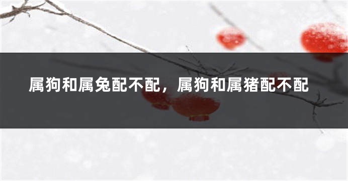 属狗和属兔配不配，属狗和属猪配不配