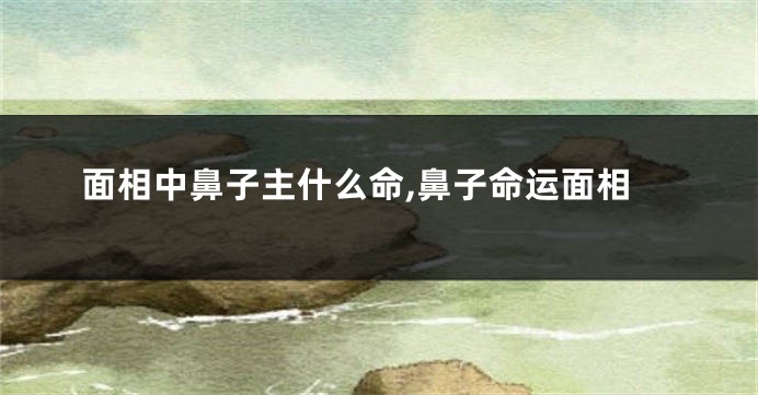 面相中鼻子主什么命,鼻子命运面相