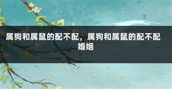 属狗和属鼠的配不配，属狗和属鼠的配不配婚姻