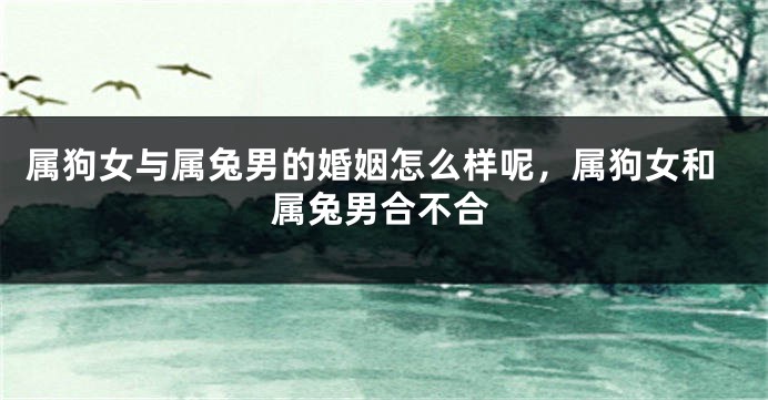 属狗女与属兔男的婚姻怎么样呢,属狗女和属兔男合不合