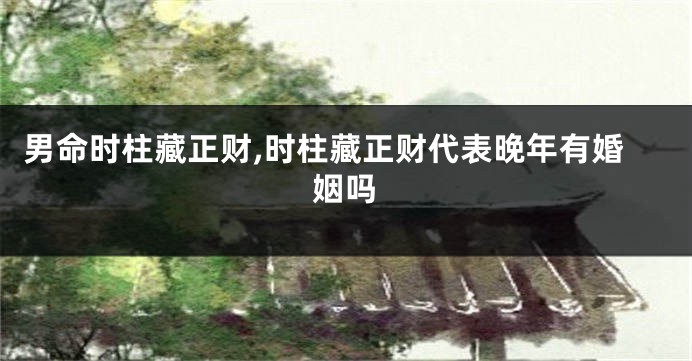 男命时柱藏正财,时柱藏正财代表晚年有婚姻吗