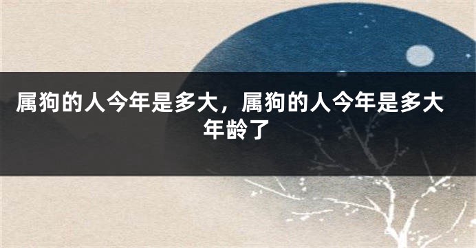 属狗的人今年是多大，属狗的人今年是多大年龄了