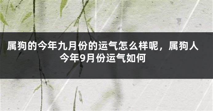 属狗的今年九月份的运气怎么样呢,属狗人今年9月份运气如何