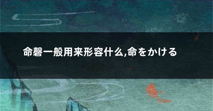 命磬一般用来形容什么,命をかける