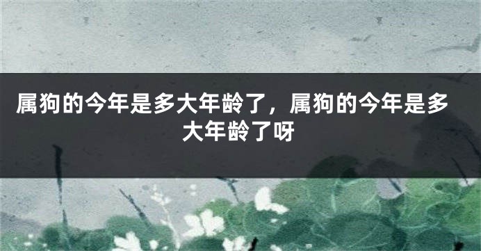 属狗的今年是多大年龄了，属狗的今年是多大年龄了呀