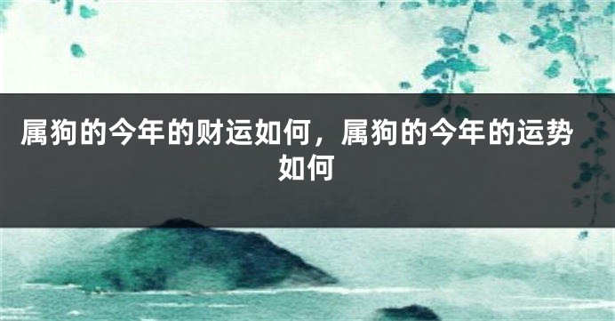 属狗的今年的财运如何，属狗的今年的运势如何