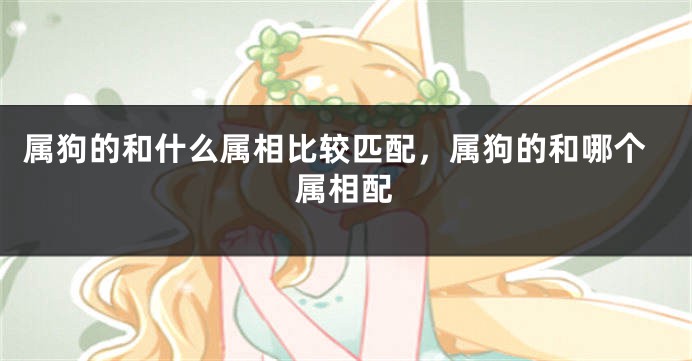 属狗的和什么属相比较匹配,属狗的和哪个属相配