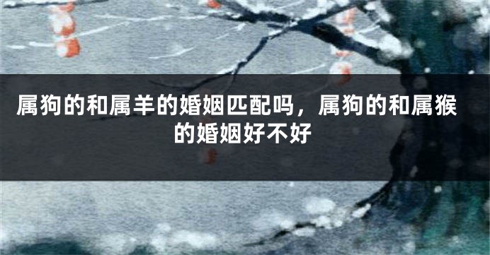 属狗的和属羊的婚姻匹配吗，属狗的和属猴的婚姻好不好
