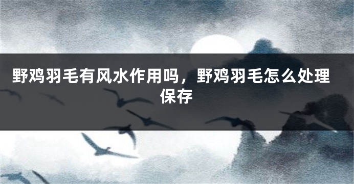 野鸡羽毛有风水作用吗,野鸡羽毛怎么处理保存