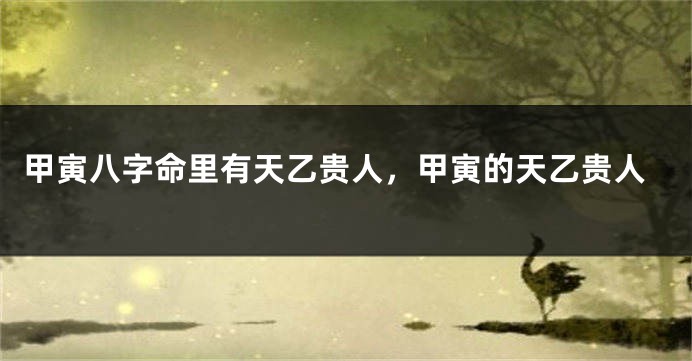 甲寅八字命里有天乙贵人，甲寅的天乙贵人