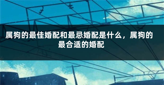 属狗的最佳婚配和最忌婚配是什么,属狗的最合适的婚配