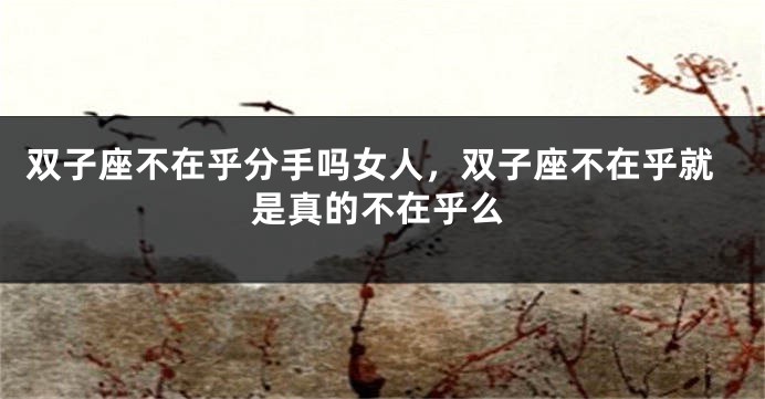 双子座不在乎分手吗女人，双子座不在乎就是真的不在乎么