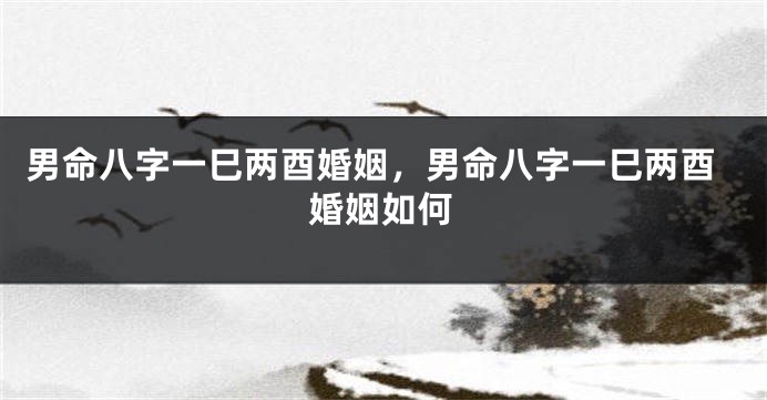 男命八字一巳两酉婚姻，男命八字一巳两酉婚姻如何