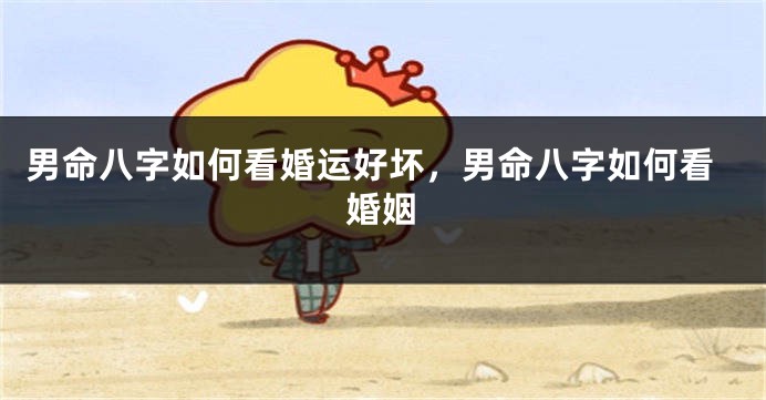 男命八字如何看婚运好坏，男命八字如何看婚姻