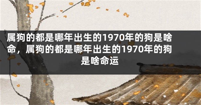 属狗的都是哪年出生的1970年的狗是啥命，属狗的都是哪年出生的1970年的狗是啥命运