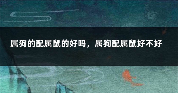 属狗的配属鼠的好吗，属狗配属鼠好不好
