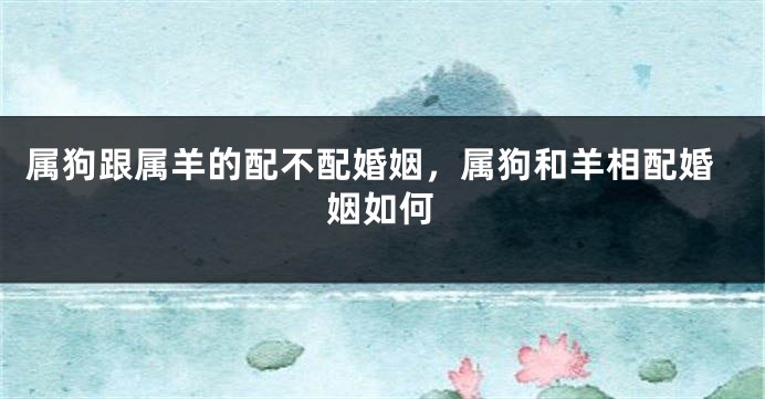 属狗跟属羊的配不配婚姻，属狗和羊相配婚姻如何
