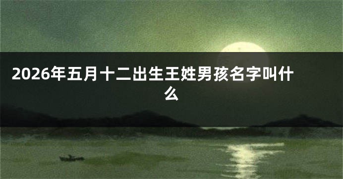 2026年五月十二出生王姓男孩名字叫什么
