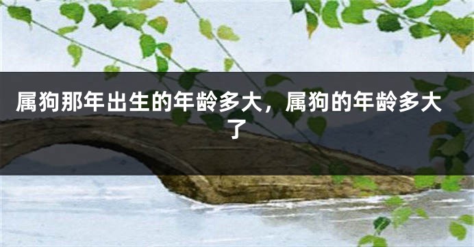 属狗那年出生的年龄多大，属狗的年龄多大了