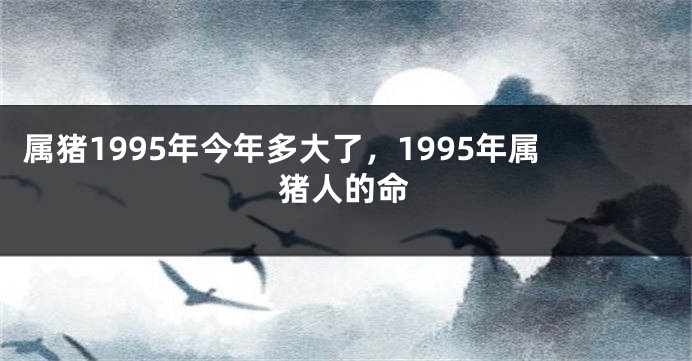 属猪1995年今年多大了，1995年属猪人的命