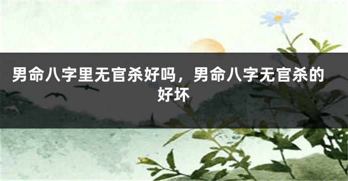 男命八字里无官杀好吗，男命八字无官杀的好坏