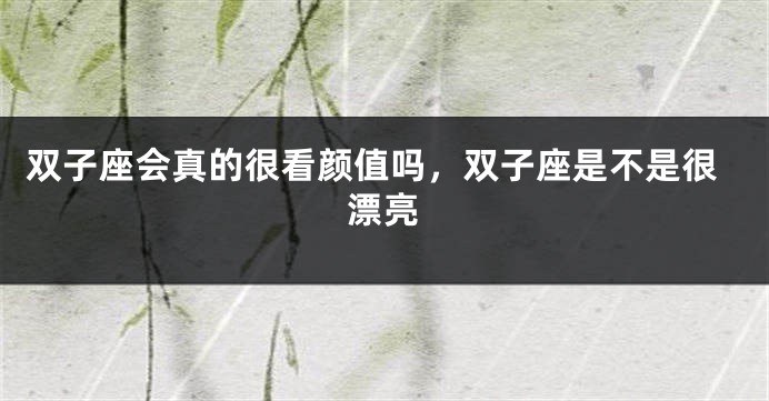 双子座会真的很看颜值吗,双子座是不是很漂亮