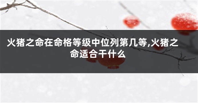 火猪之命在命格等级中位列第几等,火猪之命适合干什么